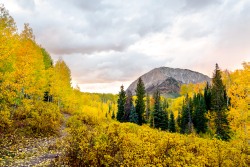 Autumn in Colorado