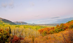 Autumn in Colorado
