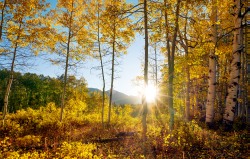 Autumn in Colorado