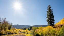Autumn in Colorado
