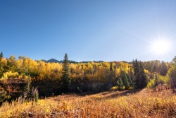 Autumn in Colorado