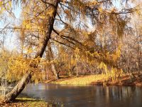 Autumn (Fall)