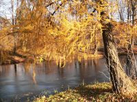 Autumn (Fall)