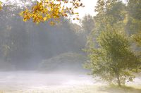 Golden Autumn