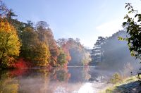 Golden Autumn