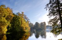 Golden Autumn