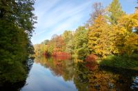 Golden Autumn