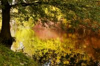 Golden Autumn