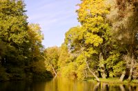 Golden Autumn