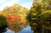 Golden Autumn