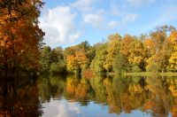 Golden Autumn