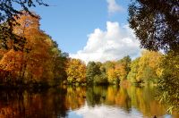 Golden Autumn