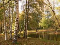 Autumn (Fall)