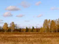 Golden Autumn