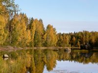 Golden Autumn