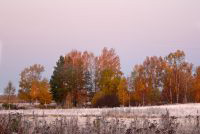 Golden Autumn
