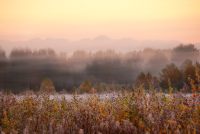 Golden Autumn
