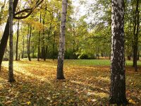 Autumn (Fall)