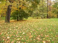 Autumn (Fall)