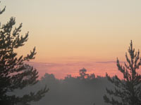 Harmony of morning