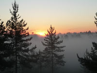 Harmony of morning