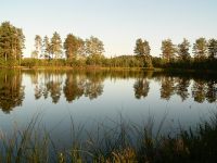In the evening at lake