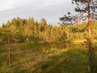 In the evening at lake