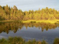 In the evening at lake