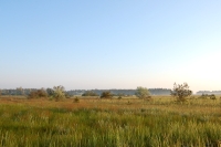 Expanse