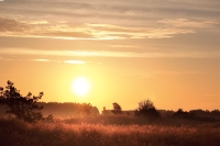 Magic of morning