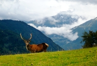 In Mountains