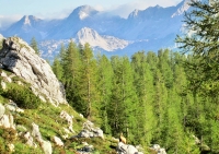 In Mountains