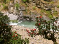 Ganges (India)