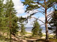 Karelian Isthmus