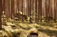 Karelian Isthmus