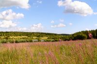 Karelian Isthmus