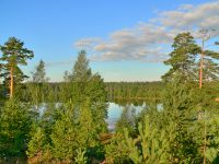 Karelian Isthmus