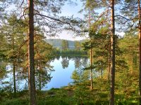 Karelian Isthmus