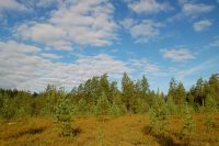 Karelian Isthmus