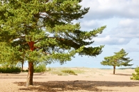 Karelian Isthmus