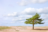 Karelian Isthmus