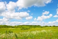 Karelian Isthmus