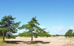 Karelian Isthmus