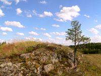 Karelian Isthmus