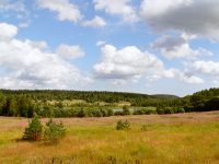 Karelian Isthmus