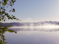 Harmony of morning