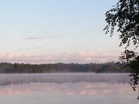 Harmony of morning