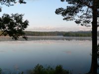 Harmony of morning