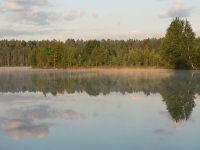 Harmony of morning