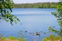 Karelian Isthmus